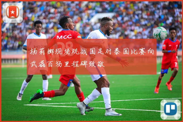 杨莉娜现场观战国足对泰国比赛向武磊百场里程碑致敬
